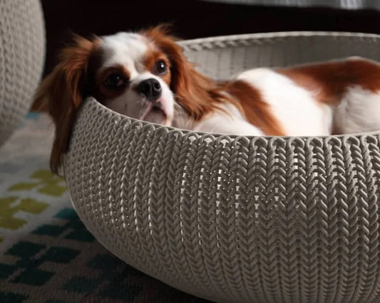 028e5fadc0347fce7a478826a0b6a149