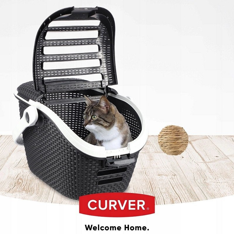 8dd5c79494947ff2cc626e4a2a437a07