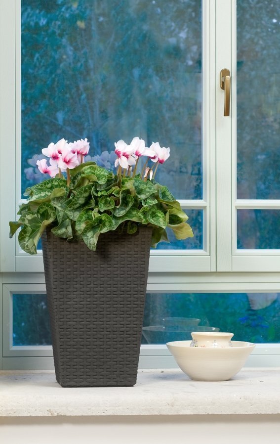 5e0a76fa9e486c328cf68569197e92eb