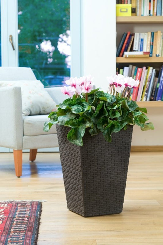 f667979f1794876ab43ba16c04eb87f1