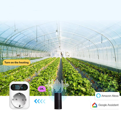 50609b0e909baf3921fc96abd767dbb4