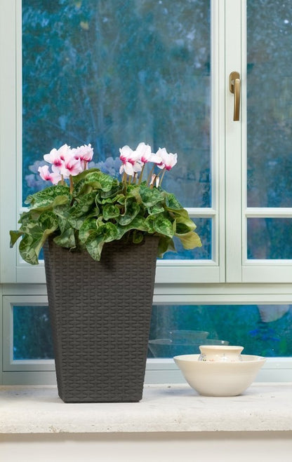 5e0a76fa9e486c328cf68569197e92eb