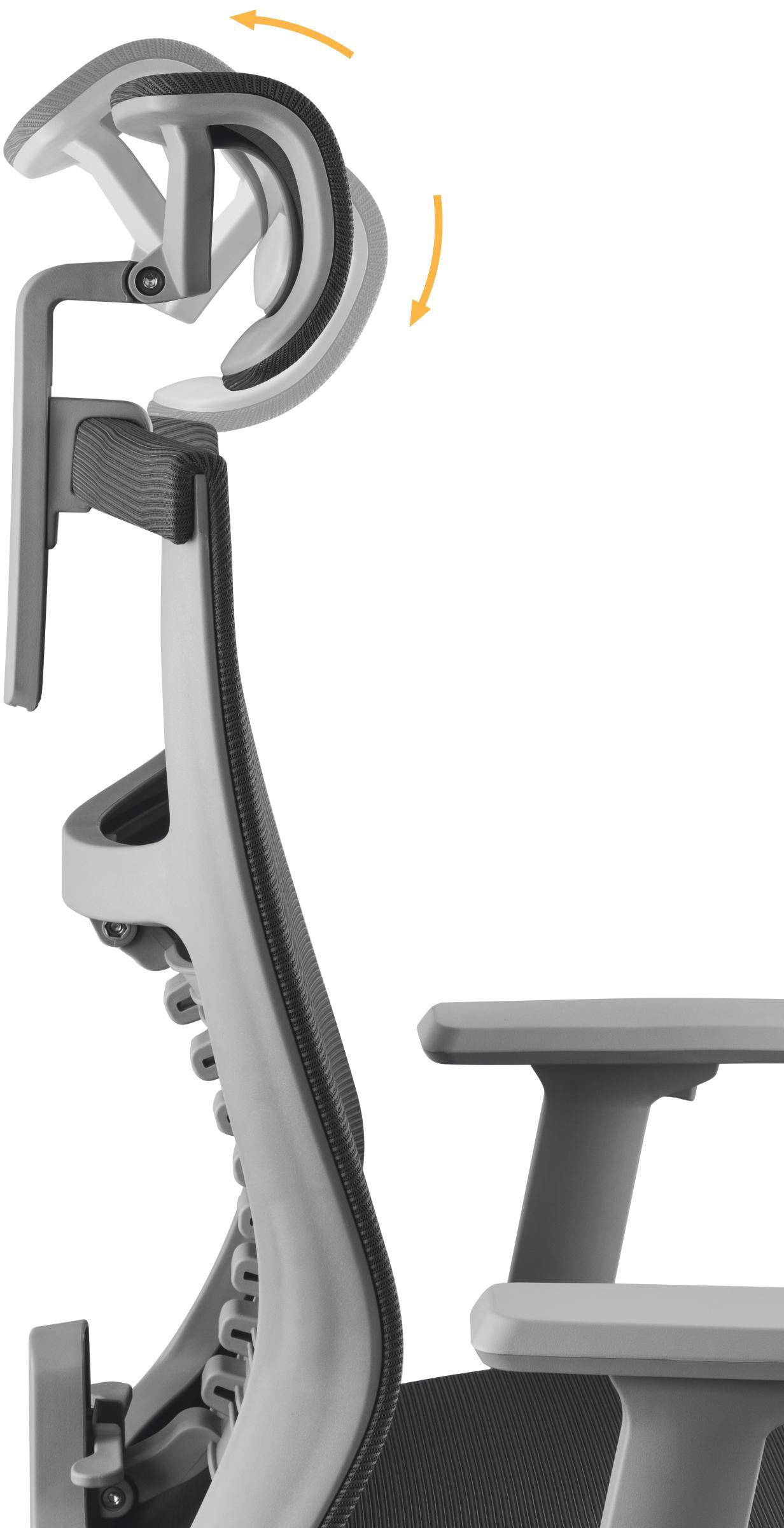 9a8f1c2378146f4a18714fd4c09e7378