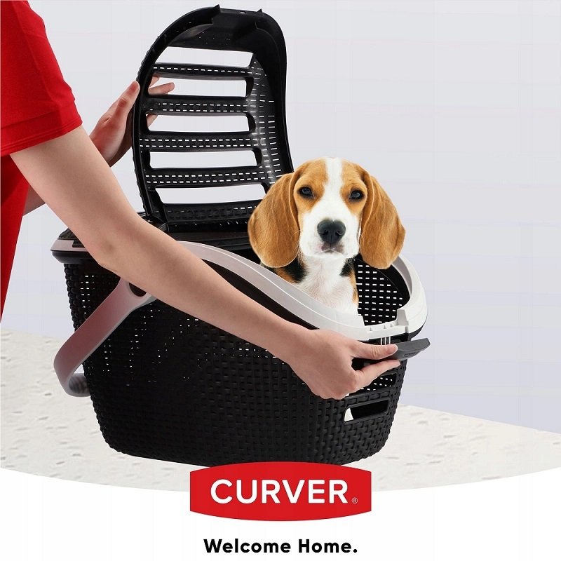 eb0294138517bbb202684ead815076eb