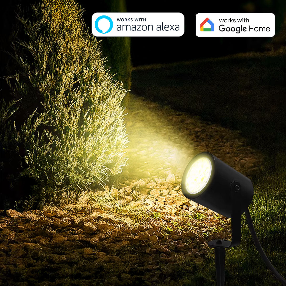 3d1f19e55f83805c869bd3d760680819