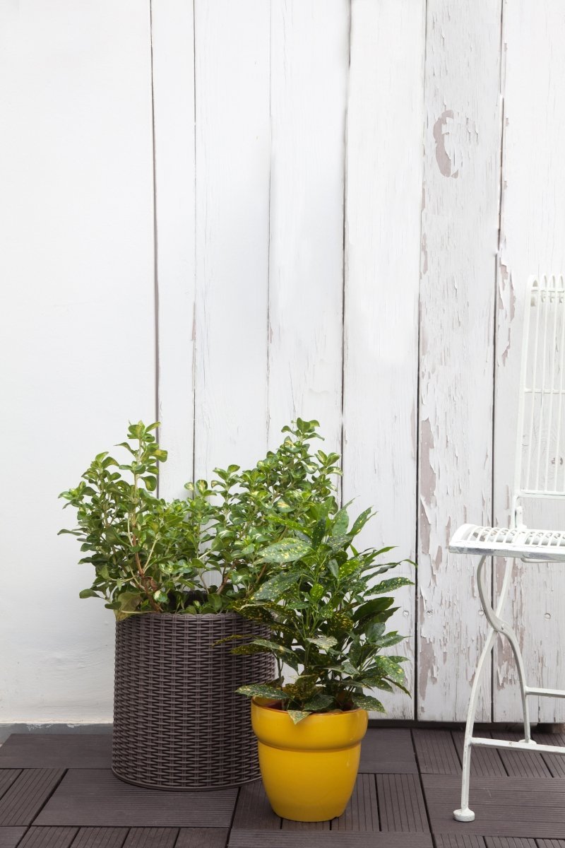 66369d83f6b67d5444d3d4e882e0769a