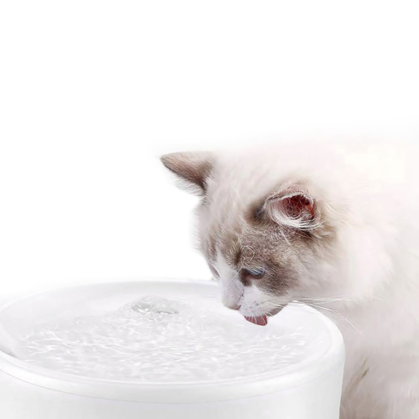 c81dec0152022721f538957f62a1a80d