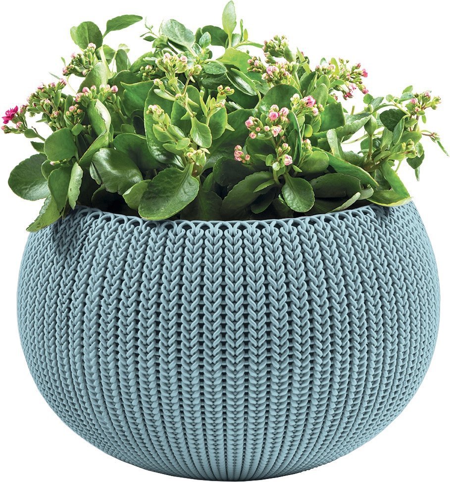 3c3ea2b86b1a8d849ee42b69be11a9ae