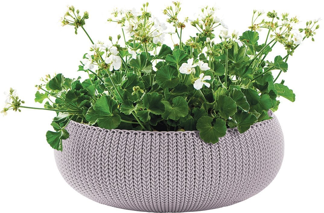 df8fc0f7ef202d7003400d29b9a29bd4