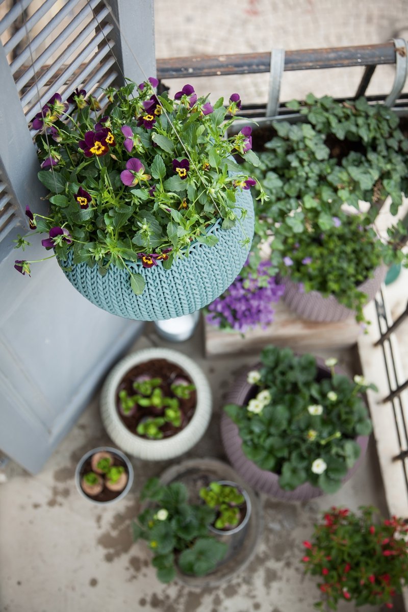 a8438176925ea0e41a163b86f1dd5578