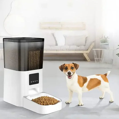 2bff68f747ab8740bf7add719cfcf429