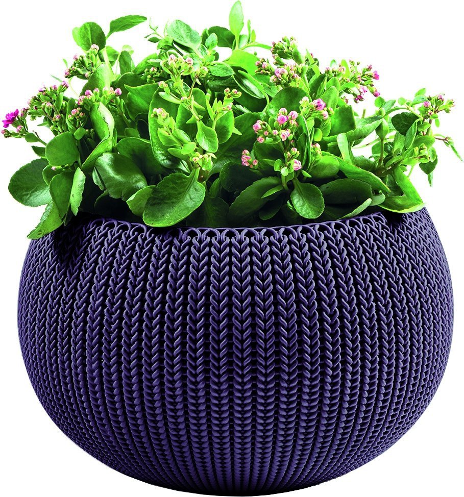 978c8ce5c9cdcf1076d00e6812249e28