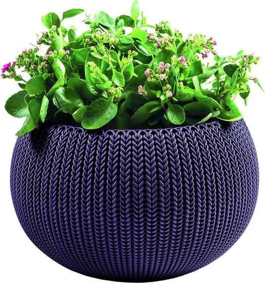 978c8ce5c9cdcf1076d00e6812249e28