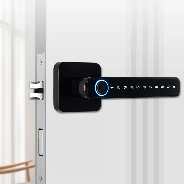 457aa1242f65c4dc9b1313ba6282fc0b