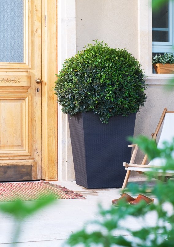 ac2963094df44989d4f1293477a3a965