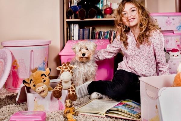 b5576ea32da193430cf532b214a6e8fe