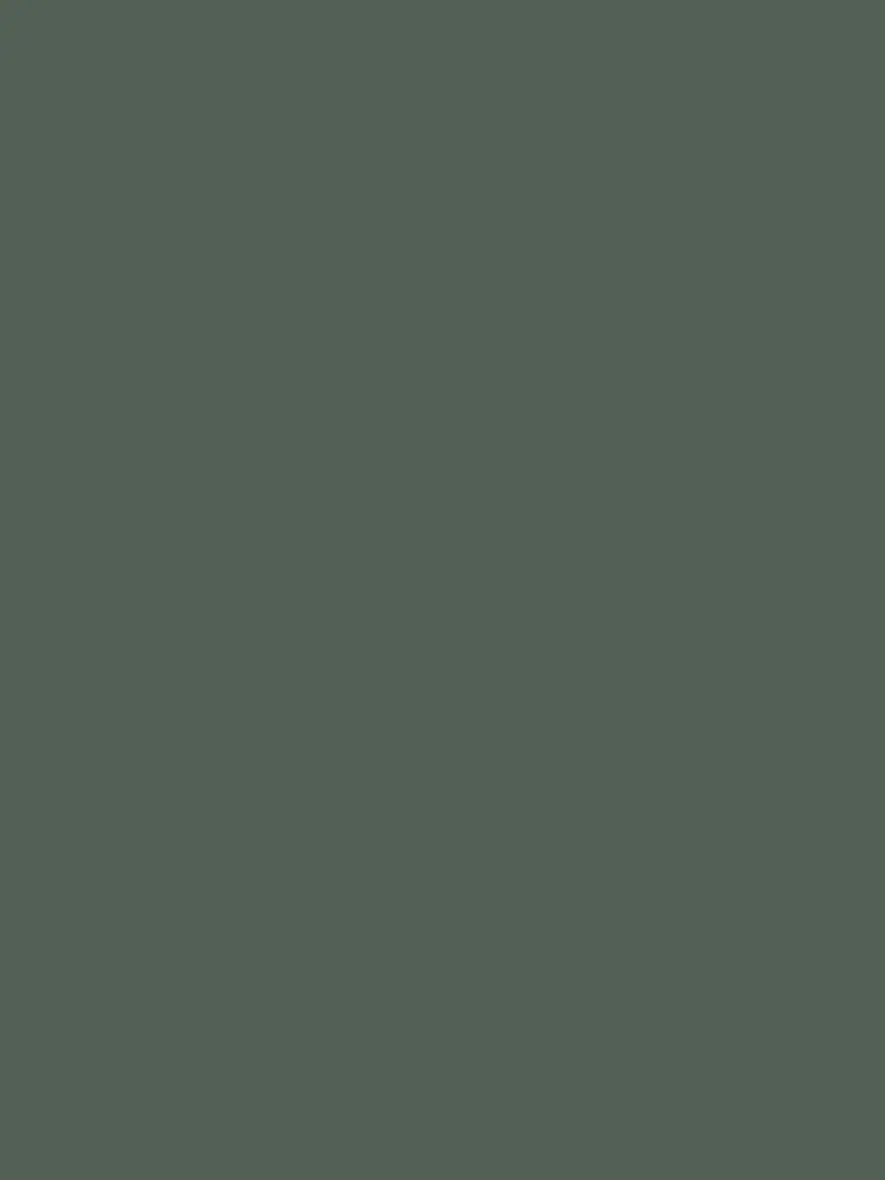 1342b91cec49db6a918a7a955c5bdb99
