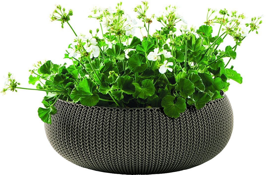 f8b9b42bf54108e99d5683005a513654