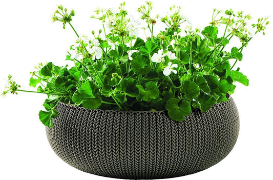 f8b9b42bf54108e99d5683005a513654