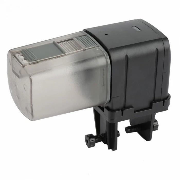 97c35a2f272c4b77adafbf2acd3fd3f2