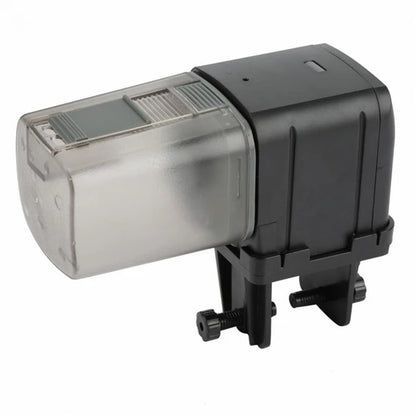 97c35a2f272c4b77adafbf2acd3fd3f2