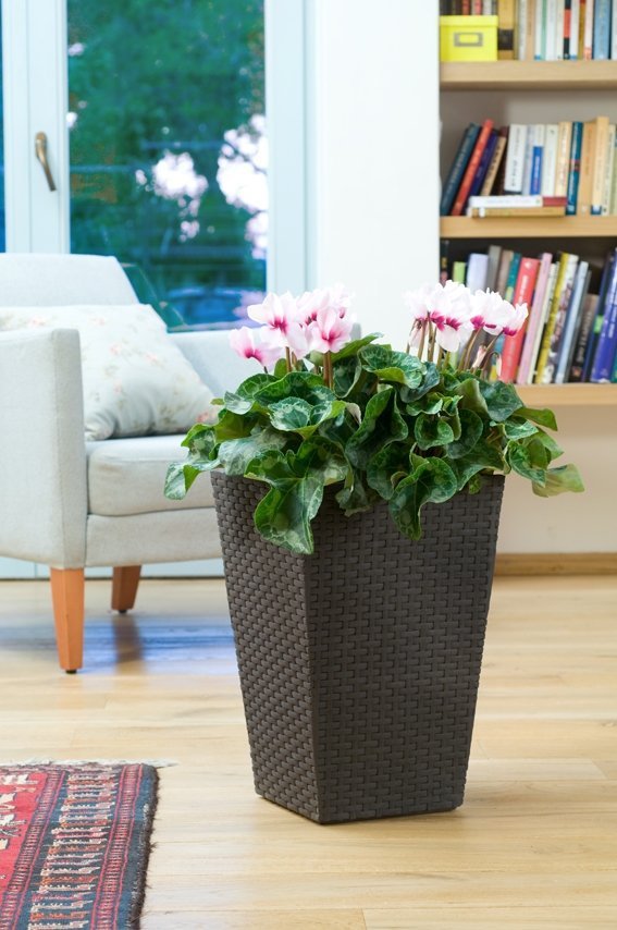 f667979f1794876ab43ba16c04eb87f1