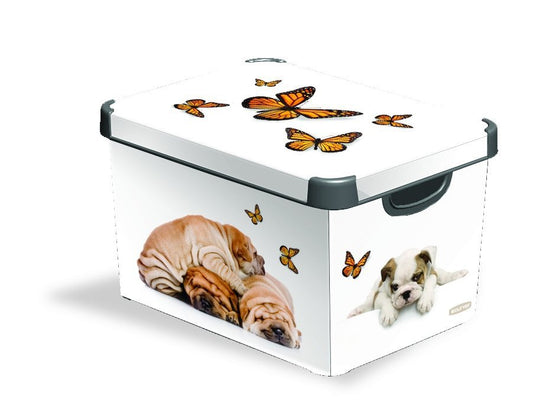 6cd4703936189f2f75a5d38de37d03c3