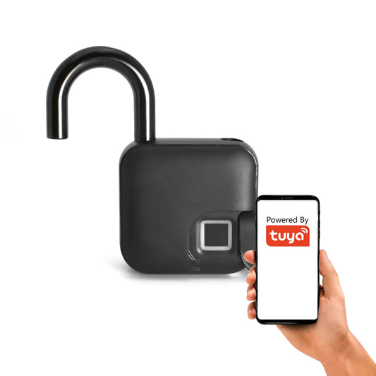 b67f32fbddb54b744495ccd2dcaac39b