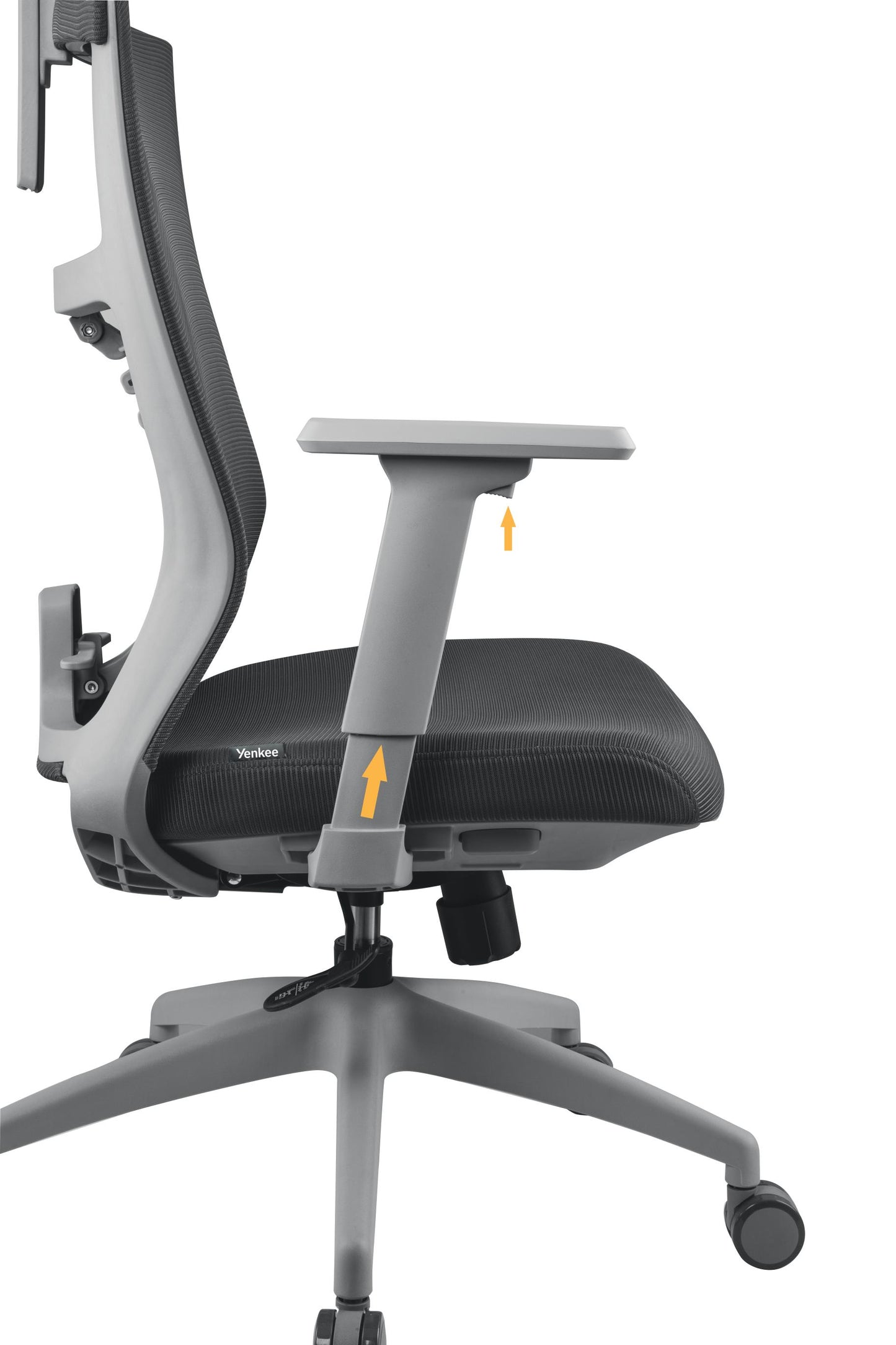 0ccefa6dea89406d983d10341a06cc91