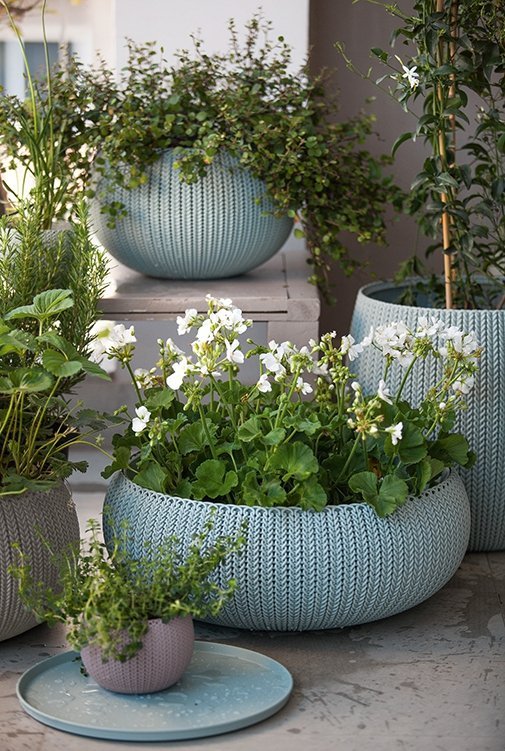 ee6579ea838d9ddc10b658c55309158d