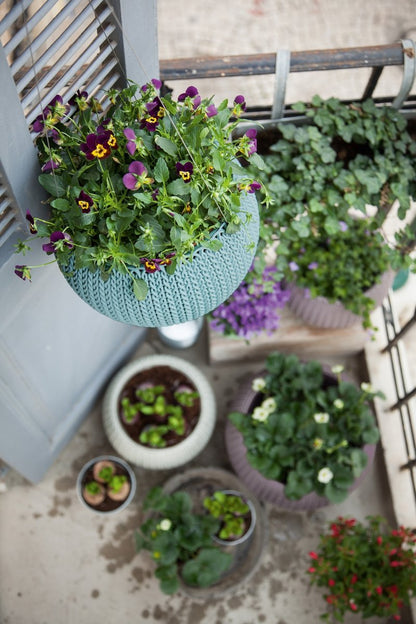 e897f605c9f03fdc0ab80255219a9c6f