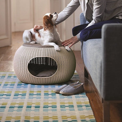 40e0448953e537e0d8275cb037904a3d