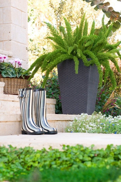 cf61f7e4d0c81c85ad72f27ccf35bae7